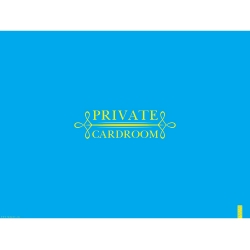 Сукно Private Cardroom 100x75 см голубое