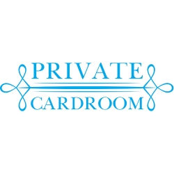 Сукно Private Cardroom 100x75 см голубое